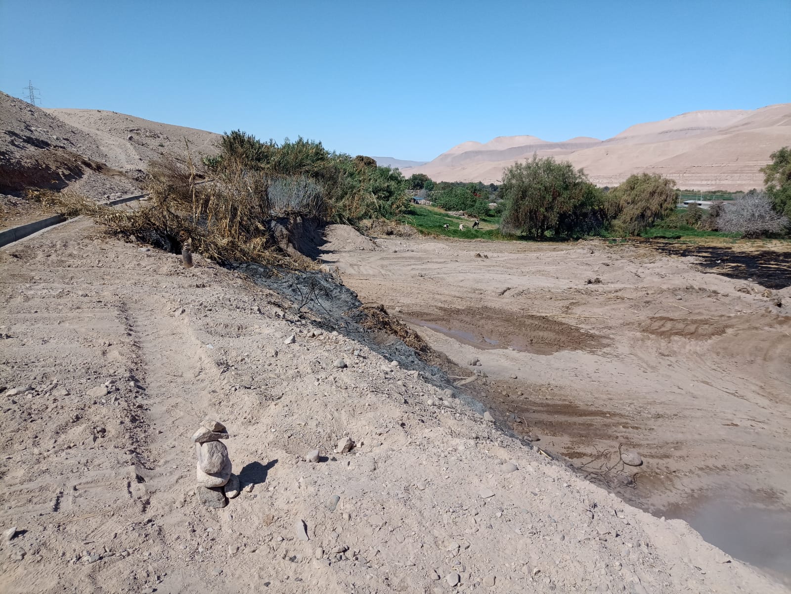 Imagen 28
